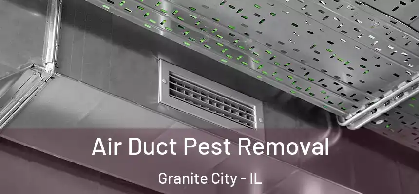  Air Duct Pest Removal Granite City - IL