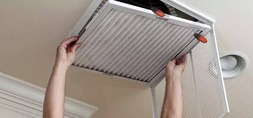 Preventive Cockroach-Proofing for Ducts in Granite City