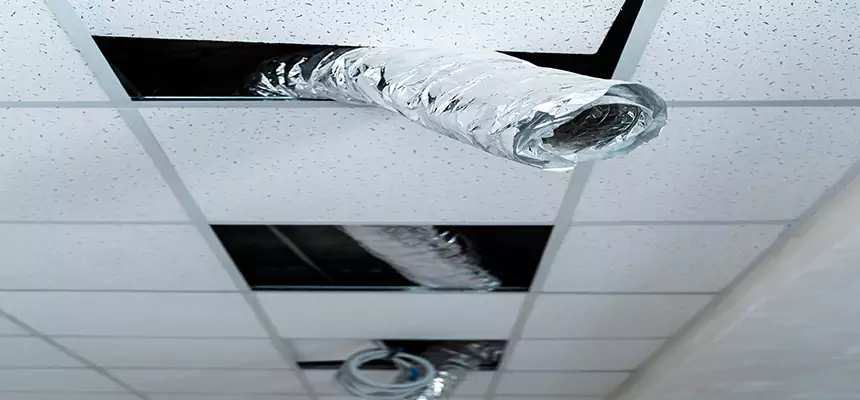 Affordable HVAC Sanitizing After Pest Removal in Granite City