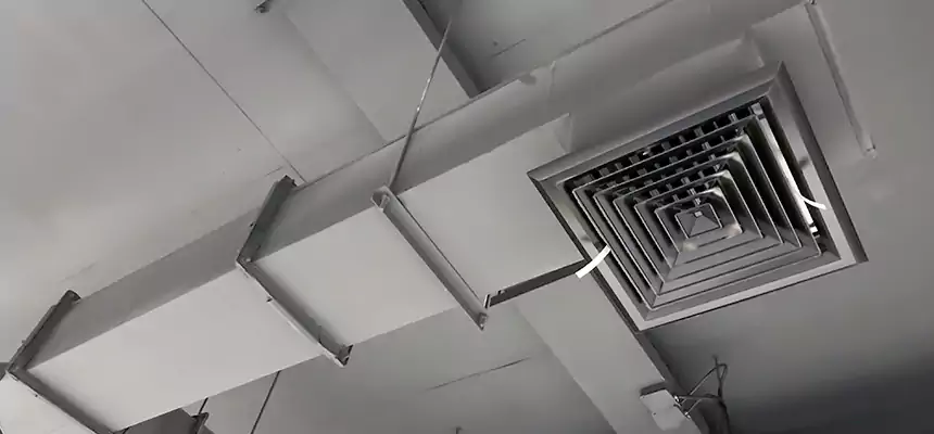 Our Rodent Droppings In Vents Services in Granite City, IL