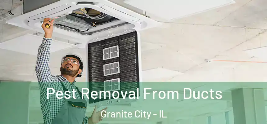  Pest Removal From Ducts Granite City - IL