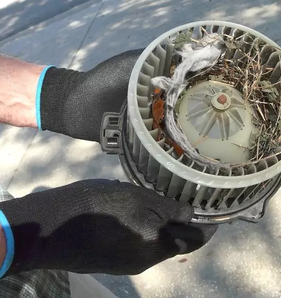 About Air Duct Mice Removal in Granite City, IL