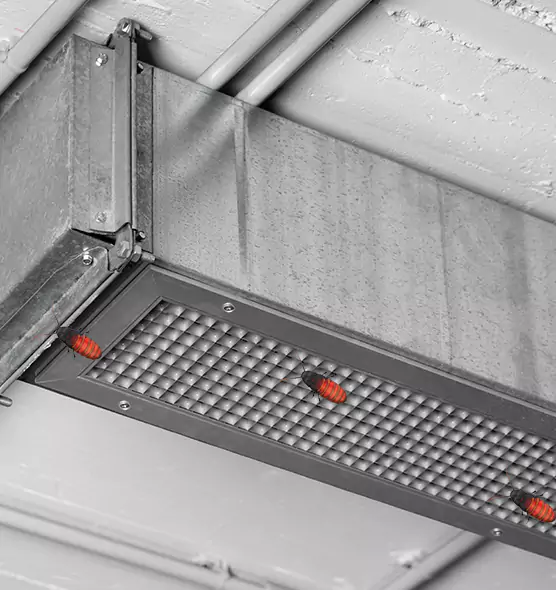Affordable Insect Removal from Air Ducts in Granite City, IL