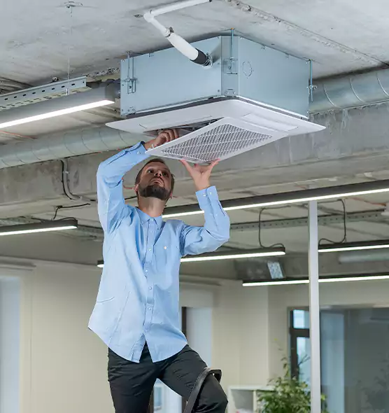 Advanced Rodent Droppings In Vents in Granite City, IL