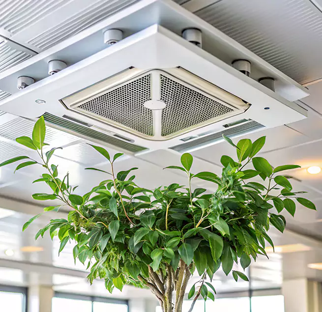 Why Homeowners & Businesses Trust Us in Granite City, IL