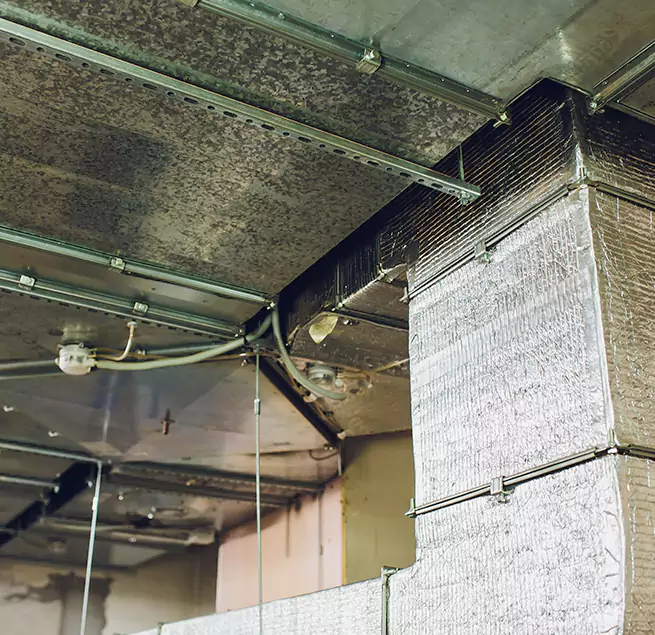 Why Homeowners & Businesses Trust Us in Granite City, IL?